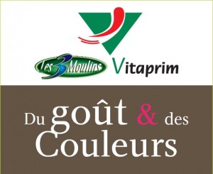 logo gout et couleurs